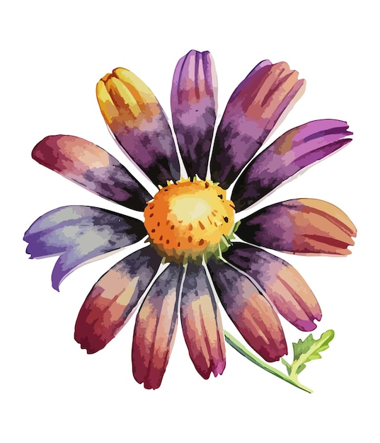 Watercolor floral arrangements with beautiful African Daisy flower Watercolor floral bouquet