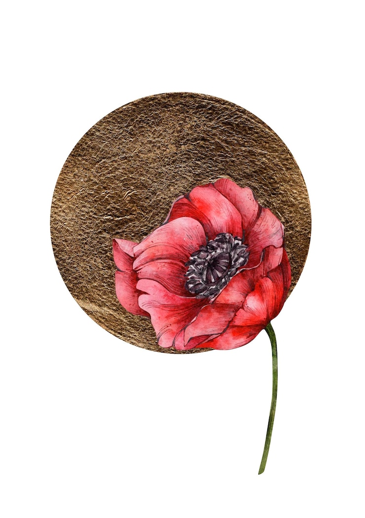 Vector watercolor floral astrology sun planet with poppy flower illustration. blooming universe clipart