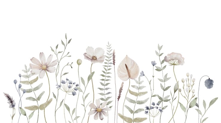 Vector 水彩の花の背景 手描きの野生の花 白い背景に隔離された草原の花