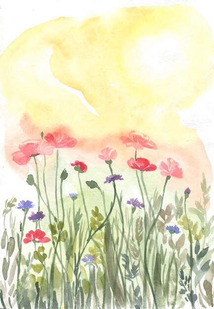 Vector watercolor floral background poppy field