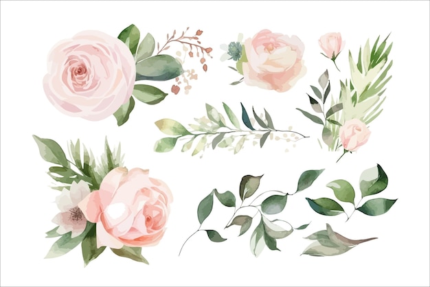 Vector watercolor floral bouquet set with green leaves pink peach blush white flowers decorative flower elements template flat cartoon illustration isolated on white background