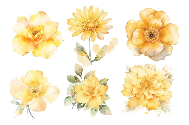 Vector watercolor floral bundle vector design