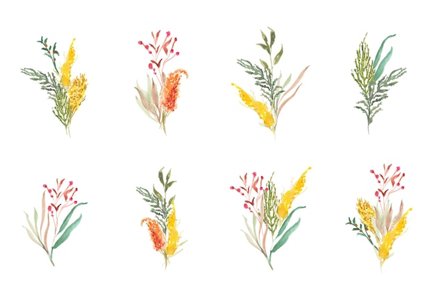 Vector watercolor floral collection