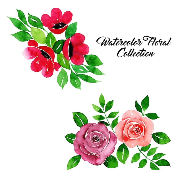 Watercolor floral collection