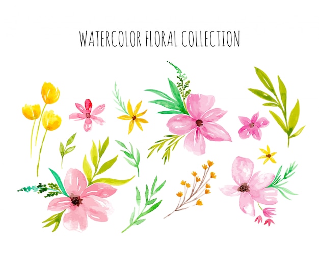 Vector watercolor floral collection