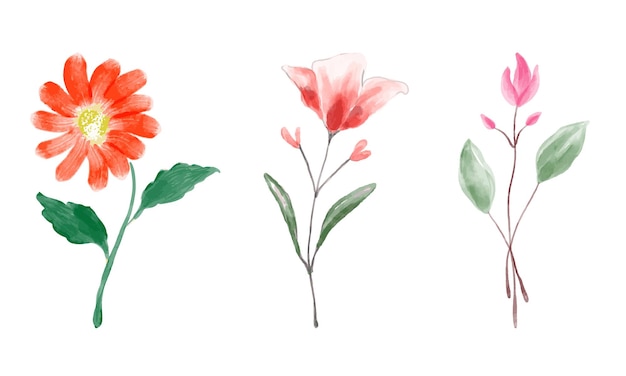 Vector watercolor floral collection