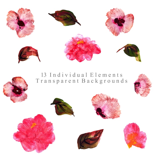 Watercolor Floral Elements Collection Background