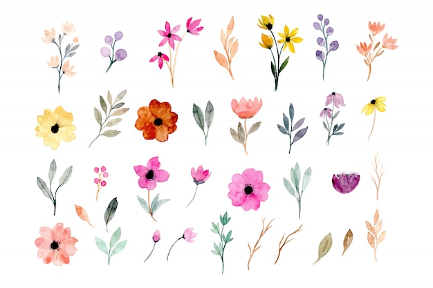 Vector watercolor floral elements collection