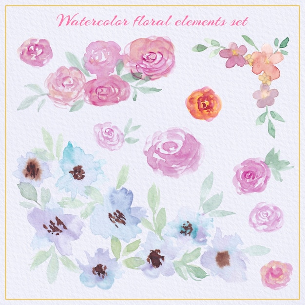 Watercolor floral elements set