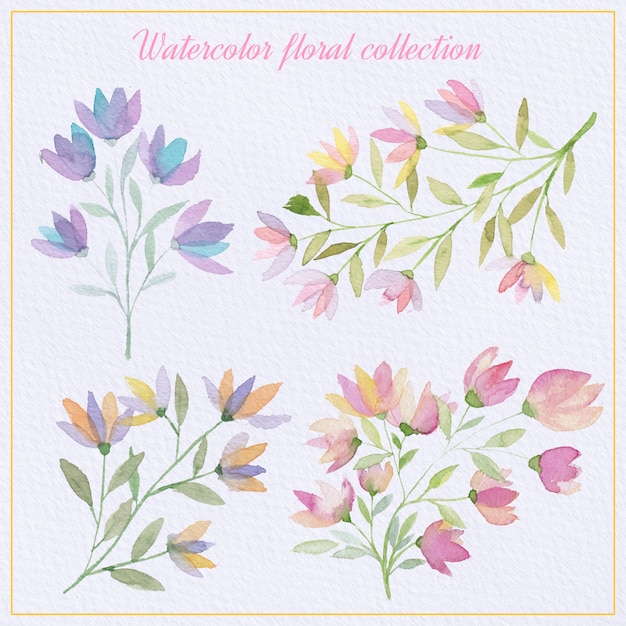 Watercolor floral elements set