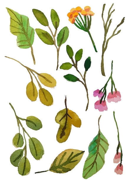 watercolor floral elements