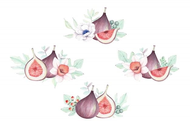 Watercolor floral and figs composition set.