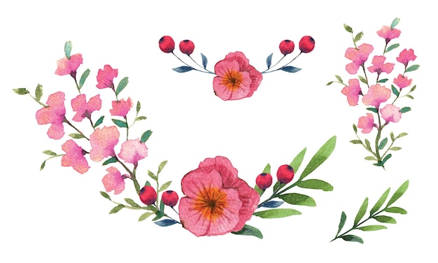 Watercolor floral flower illustration for card design