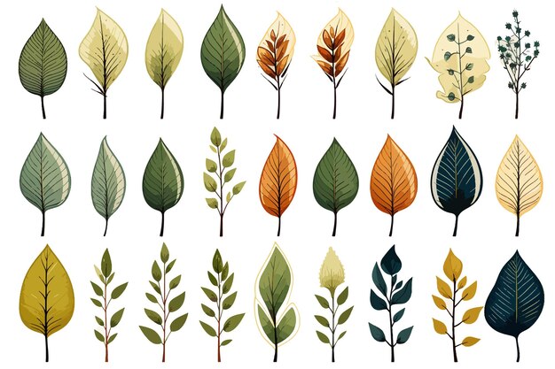 Вектор Акварель цветочная иллюстрация абстрактная ветвь цветов клип-арт ботаническая композиция набор зеленого
