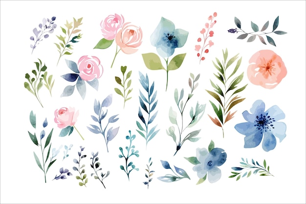 Watercolor floral illustration set Decorative flower elements template Flat cartoon illustration isolated on white background