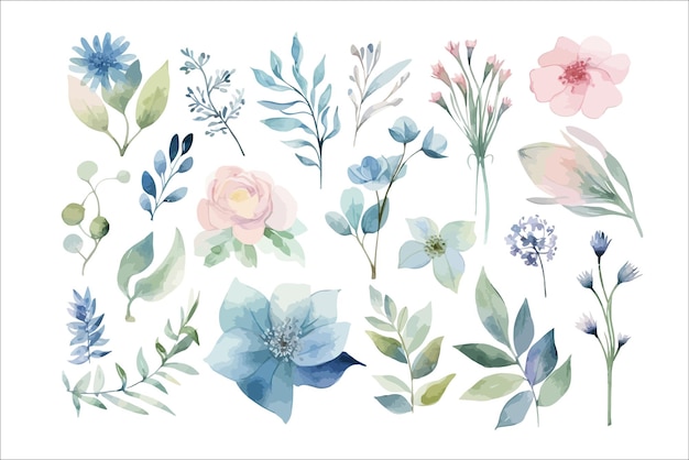 Watercolor floral illustration set Decorative flower elements template Flat cartoon illustration isolated on white background