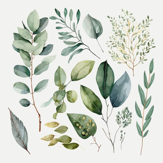 水彩花のイラスト セット緑の葉の枝のコレクション 装飾的な要素のテンプレート 白い背景で隔離のフラット漫画イラスト