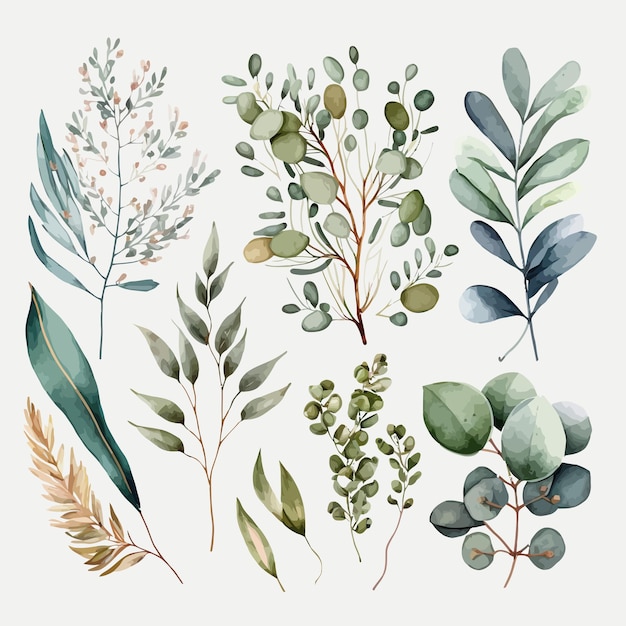 Vector watercolor floral illustration set green leaf branches collection decorative elements template flat cartoon illustration isolated on white background