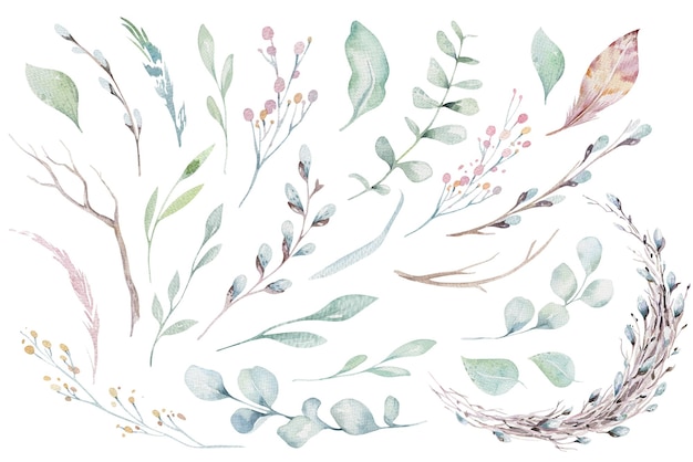 Watercolor floral illustration set green leaf branches collection