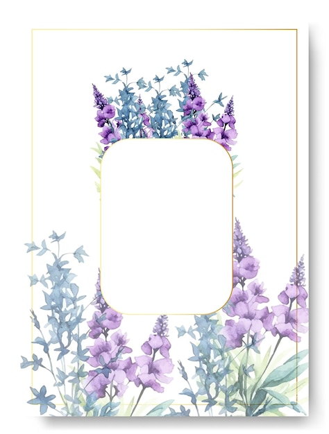Набор акварельных цветочных иллюстраций фиолетового ромашки. Высококачественная иллюстрация.