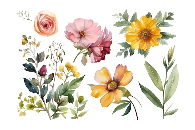 Illustrazione floreale dell'acquerello set fiori bianchi verdi