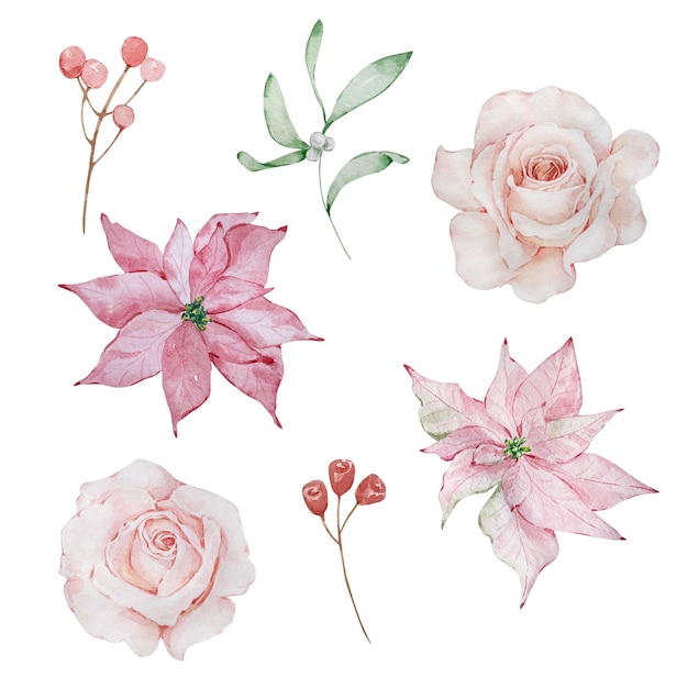 Watercolor floral illustration winter flowers