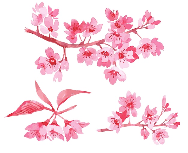 Vector watercolor floral illustration