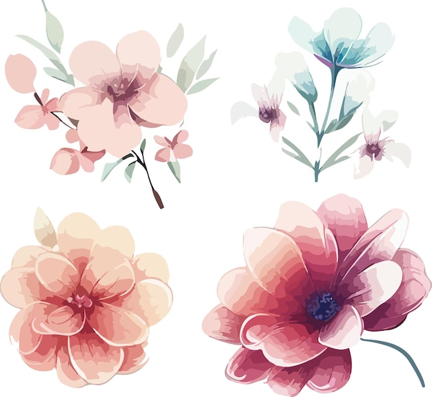 Vector watercolor floral illustrations