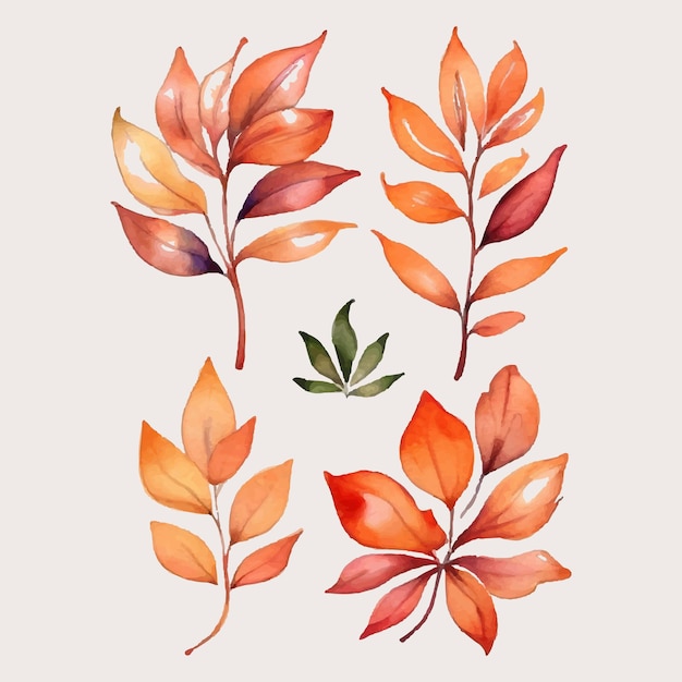 Watercolor floral leaves