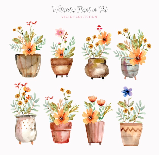 Vector watercolor floral in pot vector collection