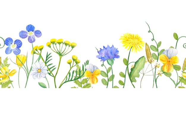 Vector watercolor floral seamless border with colorful wildflowers leaves