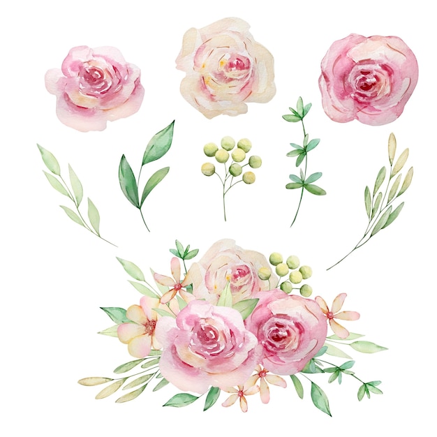 Watercolor floral set bouquet of roses flowers and leaves