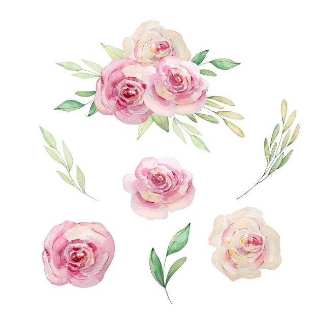 Watercolor floral set bouquet of roses