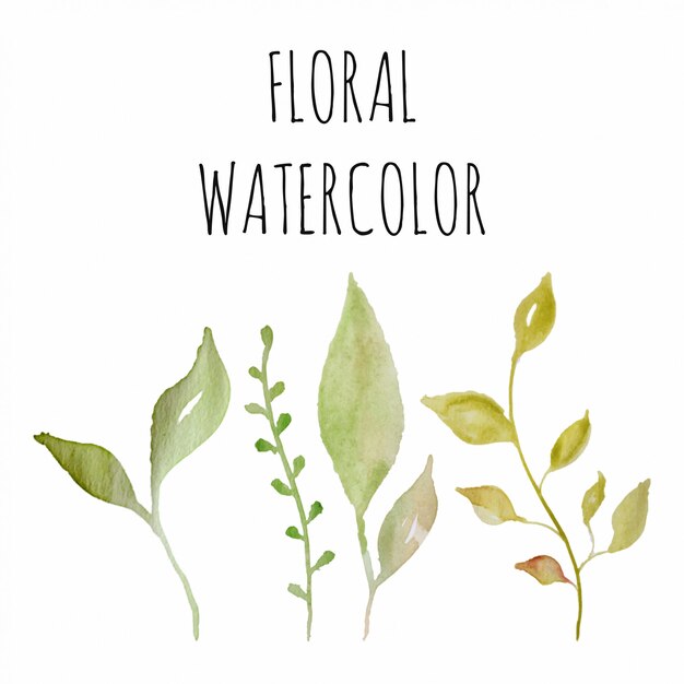 Vector watercolor floral set, illustration in vector format