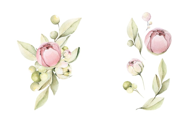 Watercolor floral set of pink flowers of peony, leaves, greenery in pastel colors