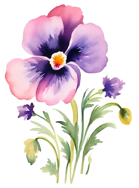 watercolor floral Viola cornuta elements