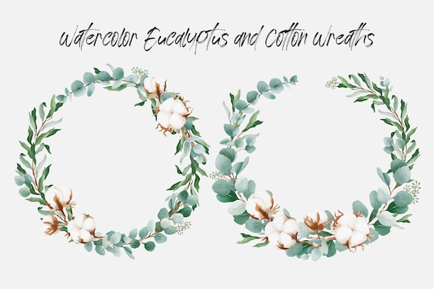 Vector watercolor floral wreath with cotton flower and eucalyptus leaves