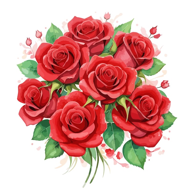 Vector watercolor flower bouquet red rose vector illustration