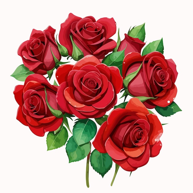 watercolor flower bouquet red rose vector illustration