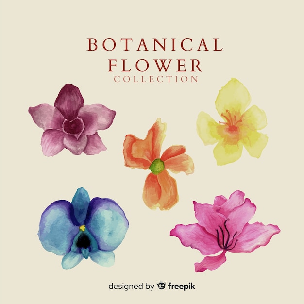 Vector watercolor flower collection