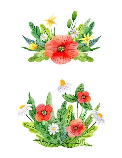 Watercolor flower compositions with chamomiles poppies yellow flowers clovers and leaves