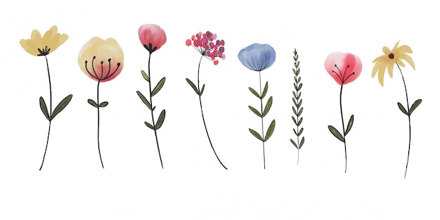 watercolor flower element