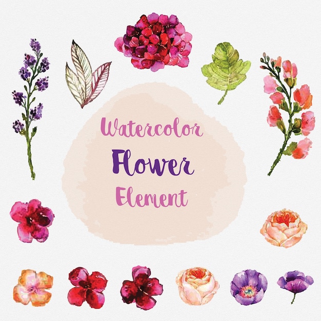 Watercolor flower element