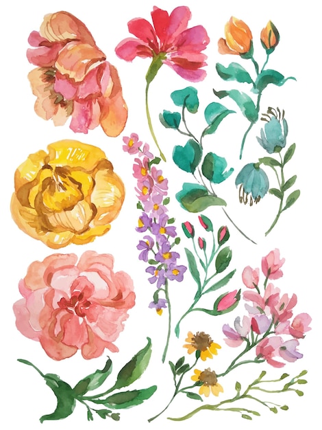 Vector watercolor flower elements
