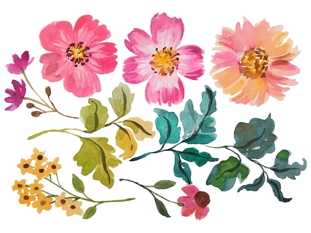 Watercolor flower elements