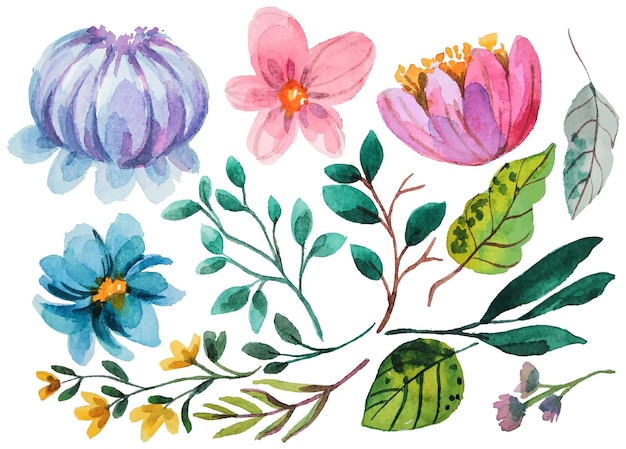 Vector watercolor flower elements