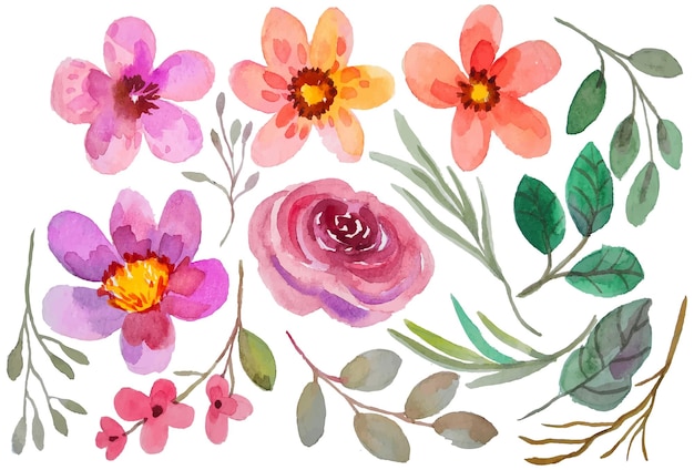 Vector watercolor flower elements