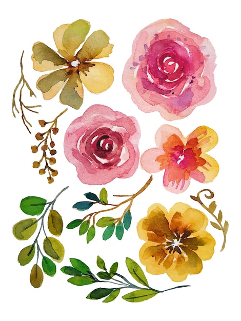 watercolor flower elements