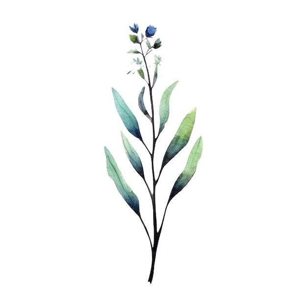 Vector watercolor flower illustration illustration of a blue and green flower