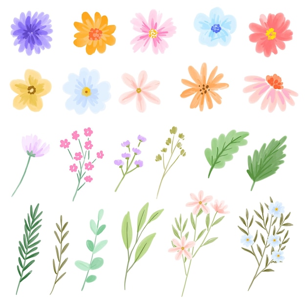 Watercolor flower and leaf clipart set